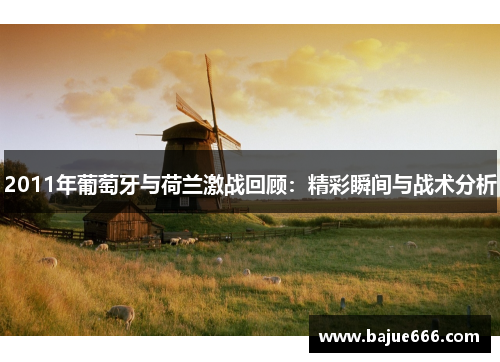 2011年葡萄牙与荷兰激战回顾：精彩瞬间与战术分析